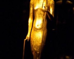 Tutankhamen Ha Man Boobs